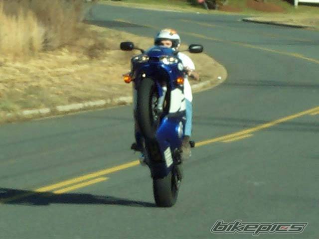 2001 YAMAHA YZF R6 | Picture 228214 motorcycle photo