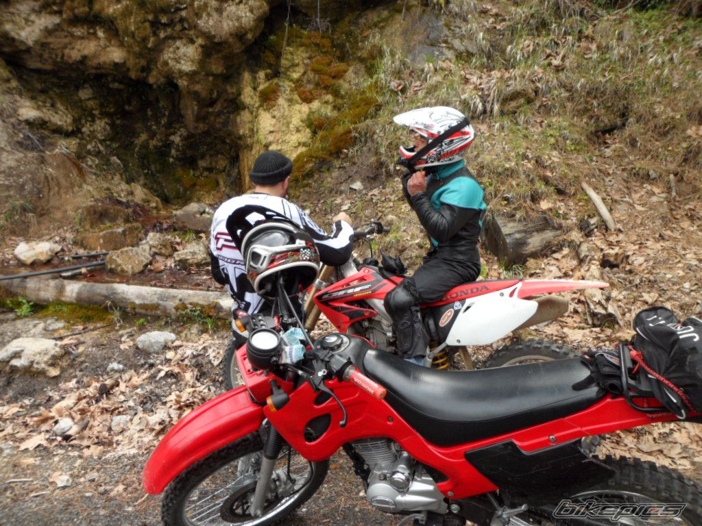 2006 MONDIAL UT | Picture 2282418 motorcycle photo