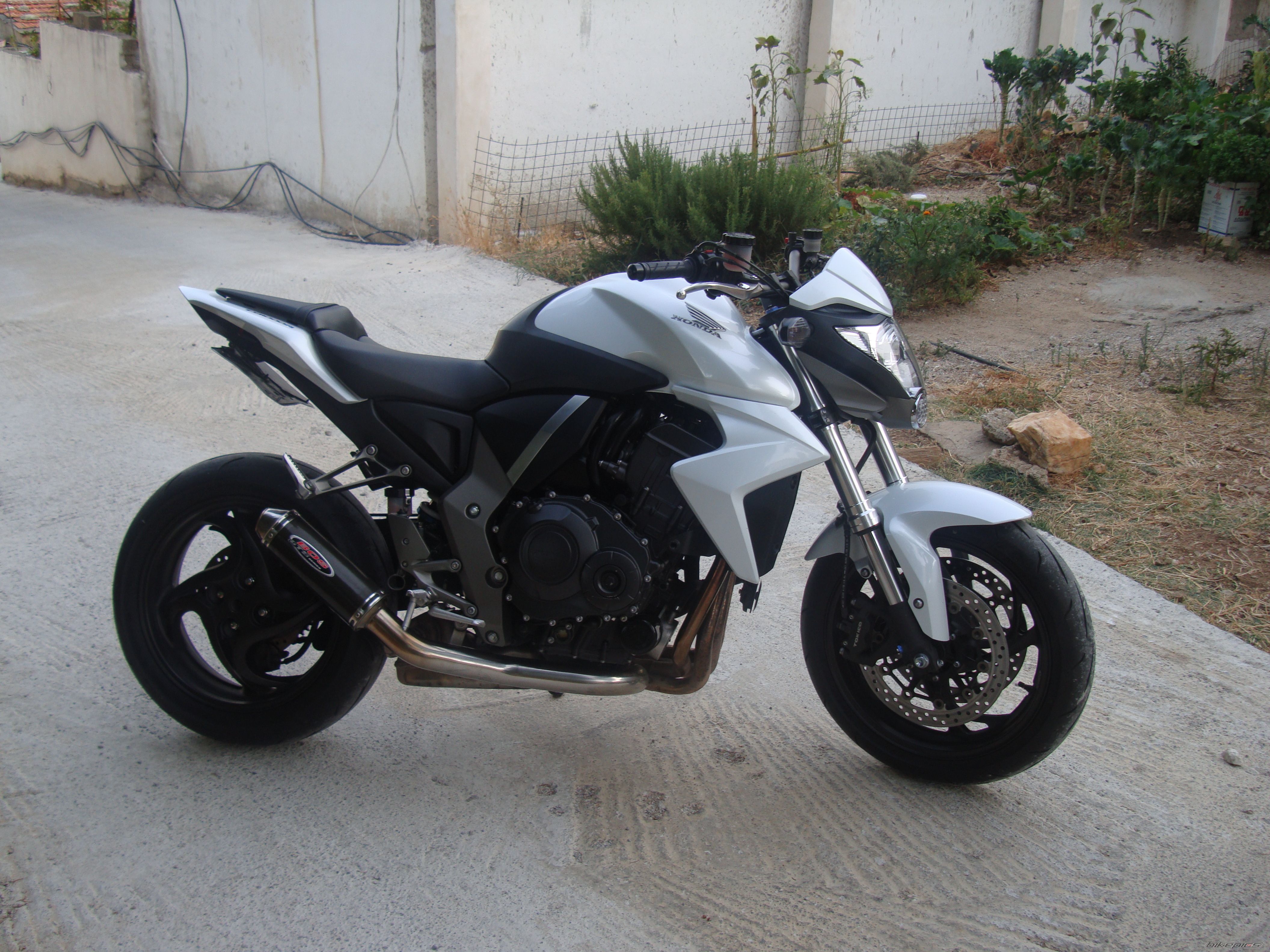 2008 HONDA CB 1000 | Picture 2283045 motorcycle photo