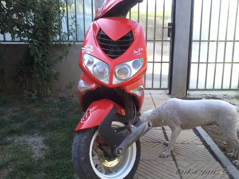 2008 PEUGEOT SPEEDFIGHT 100 | Picture 2283107 motorcycle photo