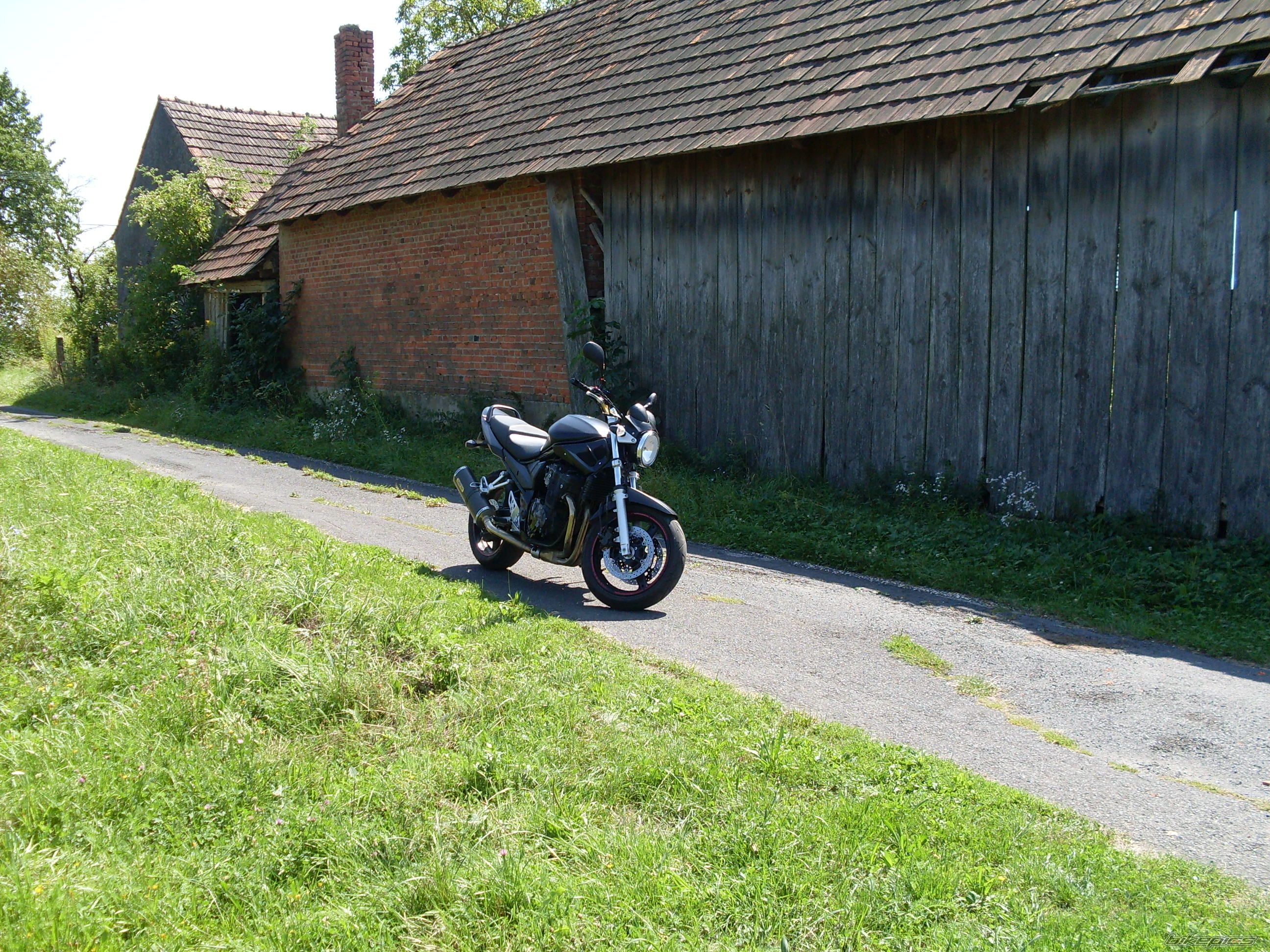 2006 SUZUKI GSF 650 NAKED | Picture 2284193 motorcycle photo