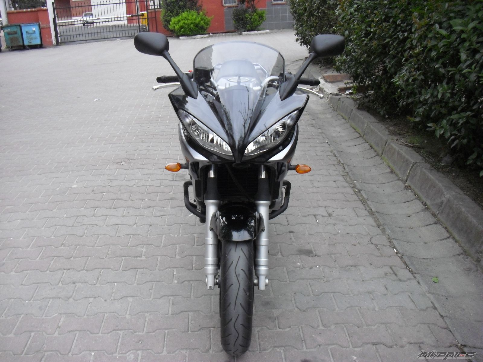 2007 YAMAHA FZ6 FAZER | Picture 2284697 motorcycle photo