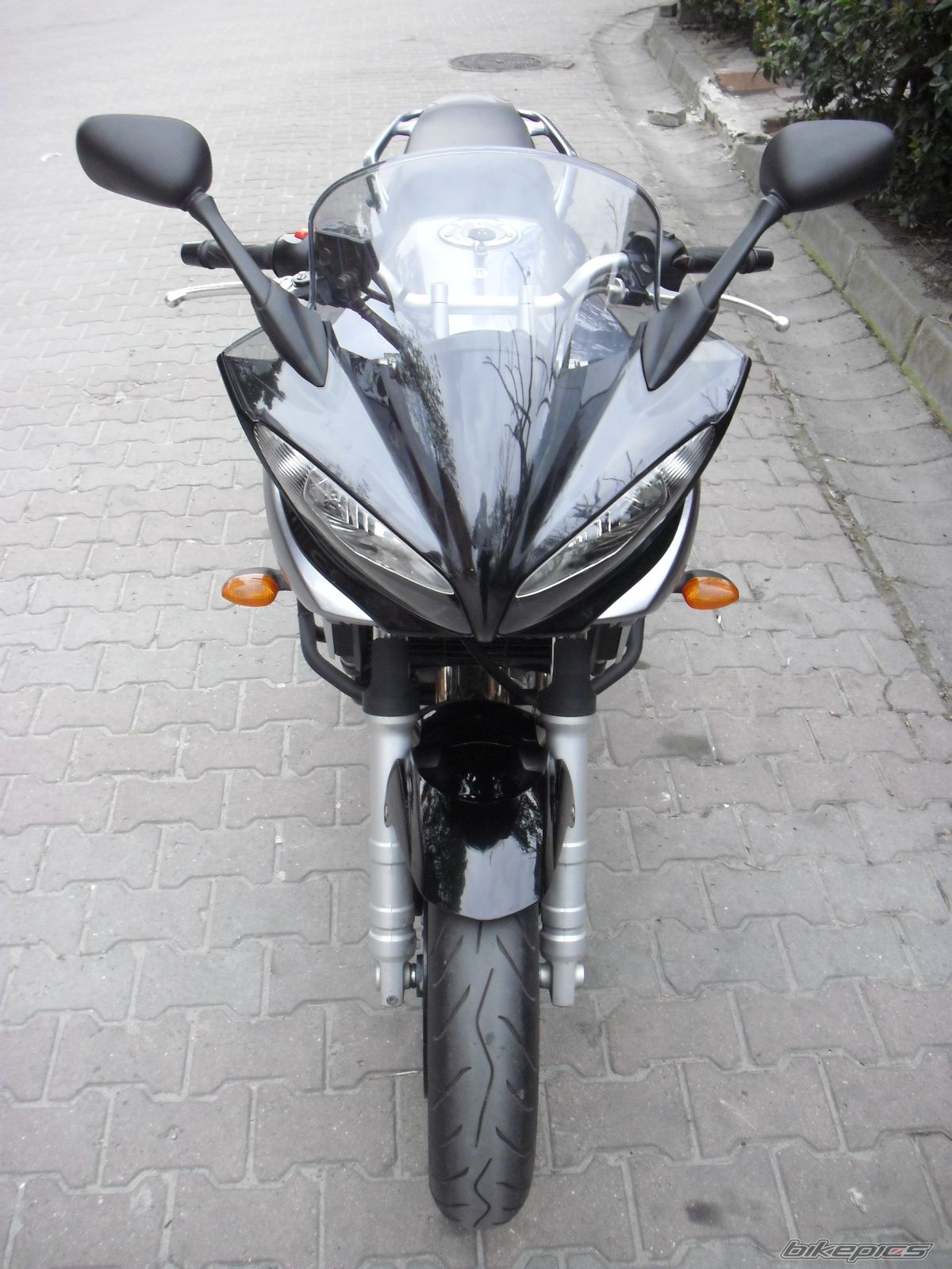 2007 YAMAHA FZ6 FAZER | Picture 2284699 motorcycle photo