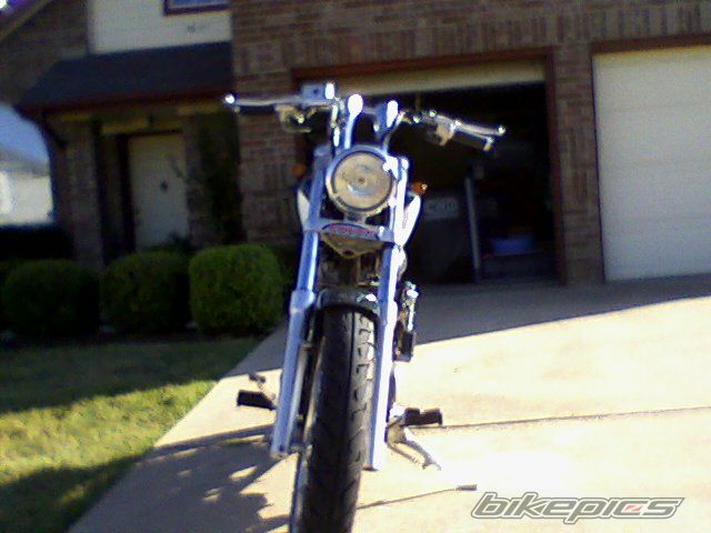 2000 SUZUKI SAVAGE | Picture 2285075 motorcycle photo
