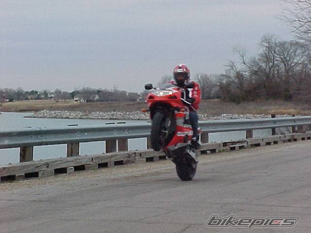 2005 SUZUKI GSX R 1000 | Picture 228544 motorcycle photo