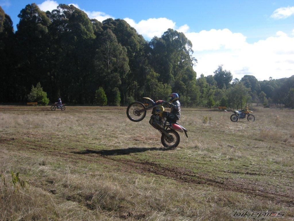 2005 HUSABERG FE 650 | Picture 2285587 motorcycle photo
