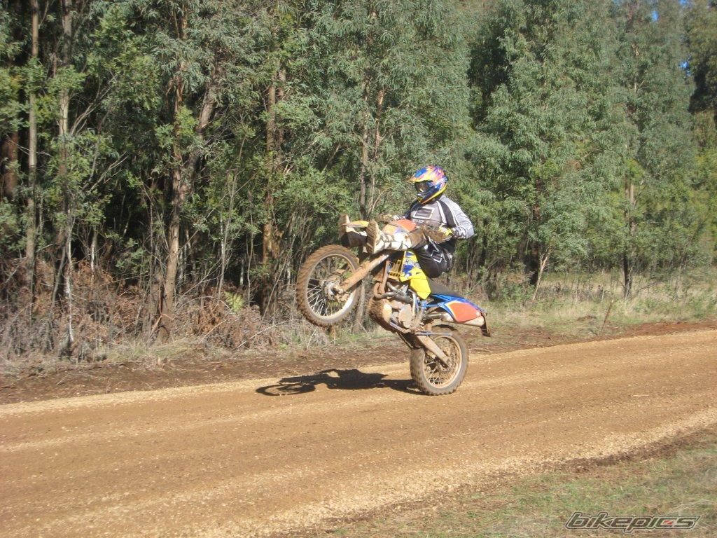 2005 HUSABERG FE 650 | Picture 2285589 motorcycle photo