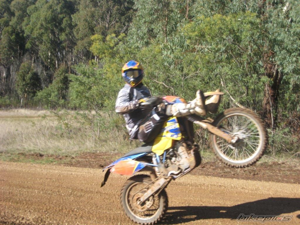 2005 HUSABERG FE 650 | Picture 2285590 motorcycle photo