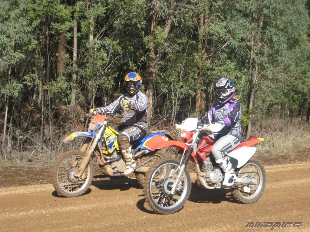 2005 HUSABERG FE 650 | Picture 2285591 motorcycle photo