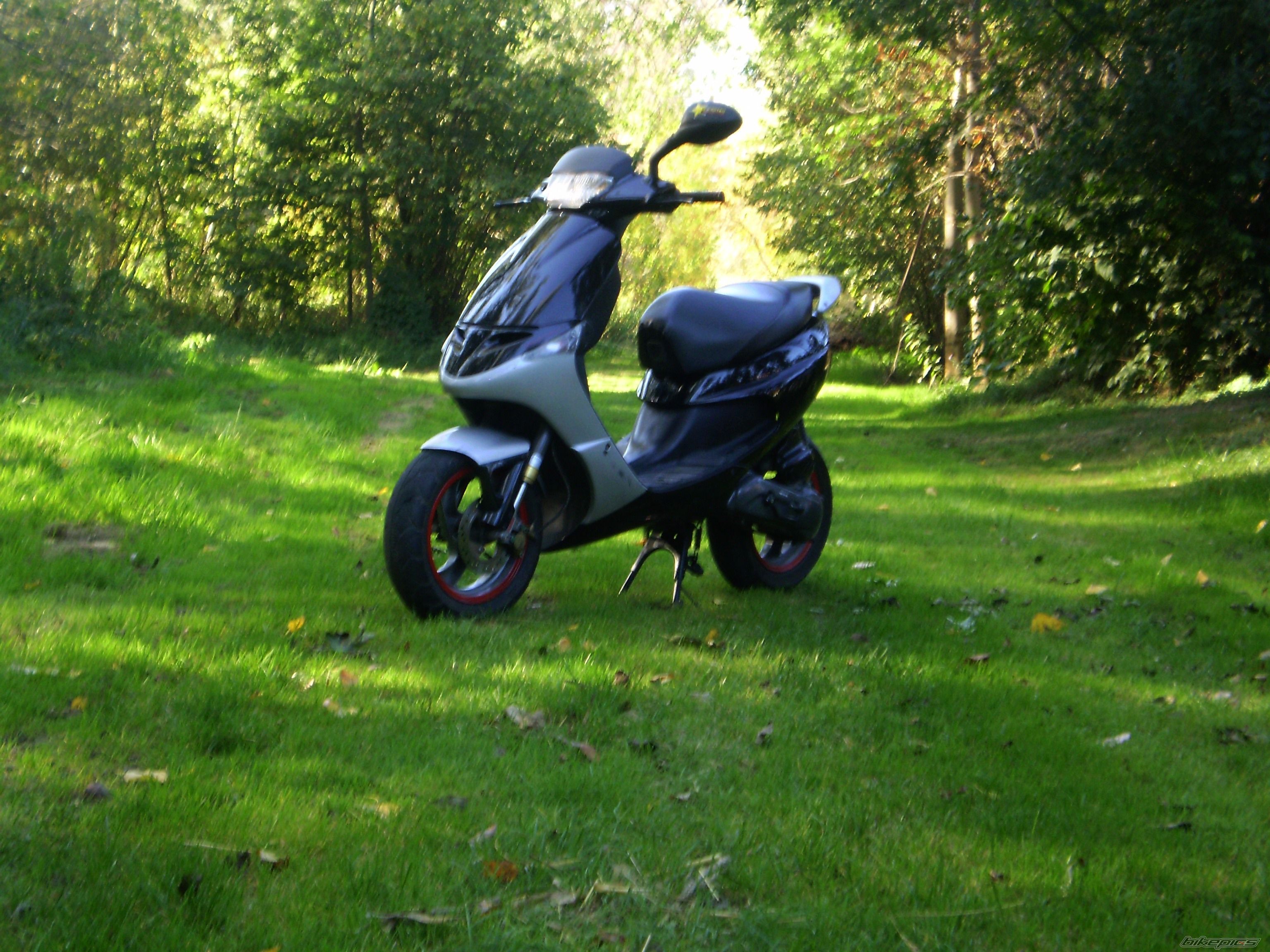 1994 PEUGEOT SPEEDAKE 50 | Picture 2285983 motorcycle photo