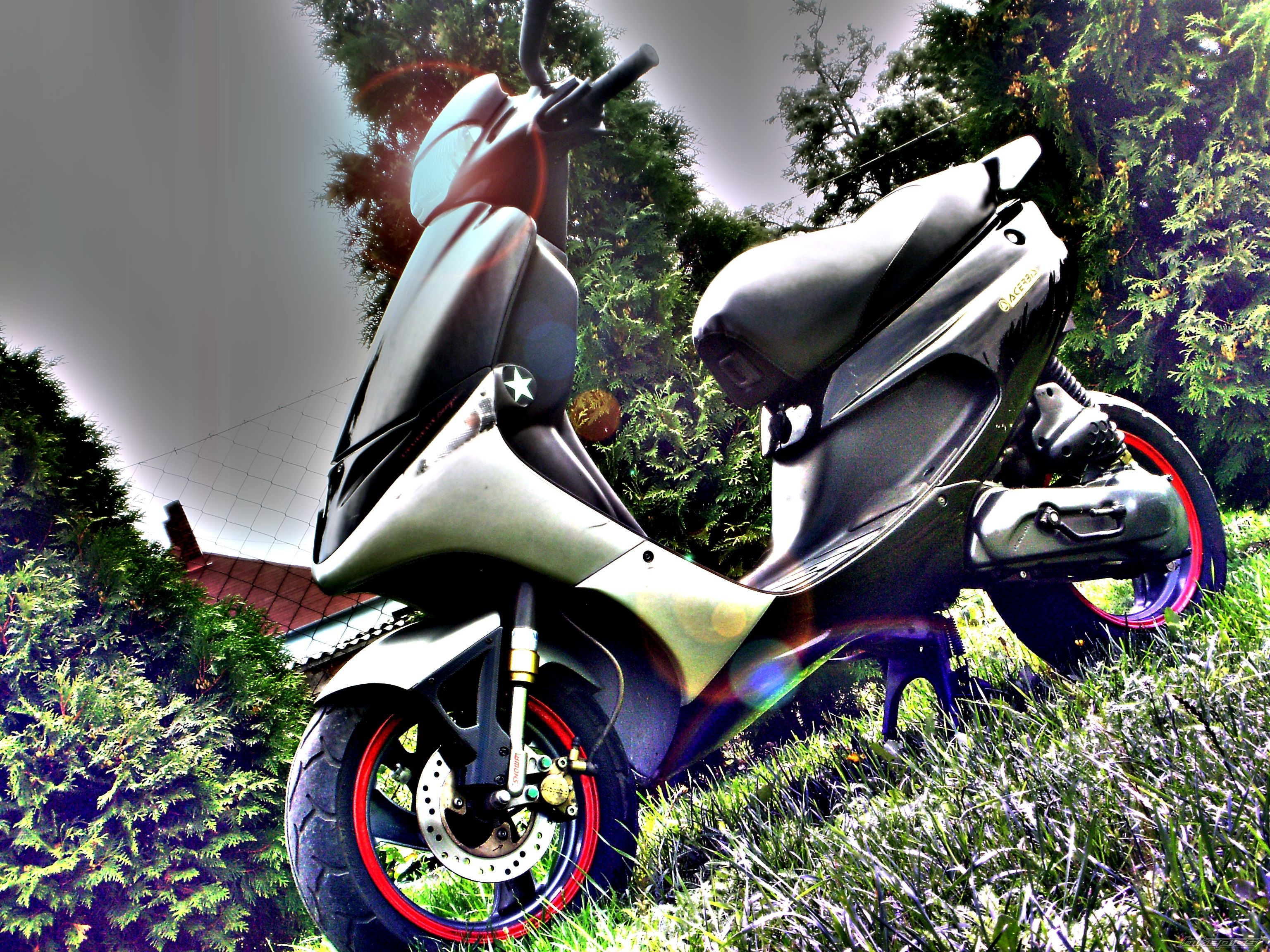 1994 PEUGEOT SPEEDAKE 50 | Picture 2286203 motorcycle photo