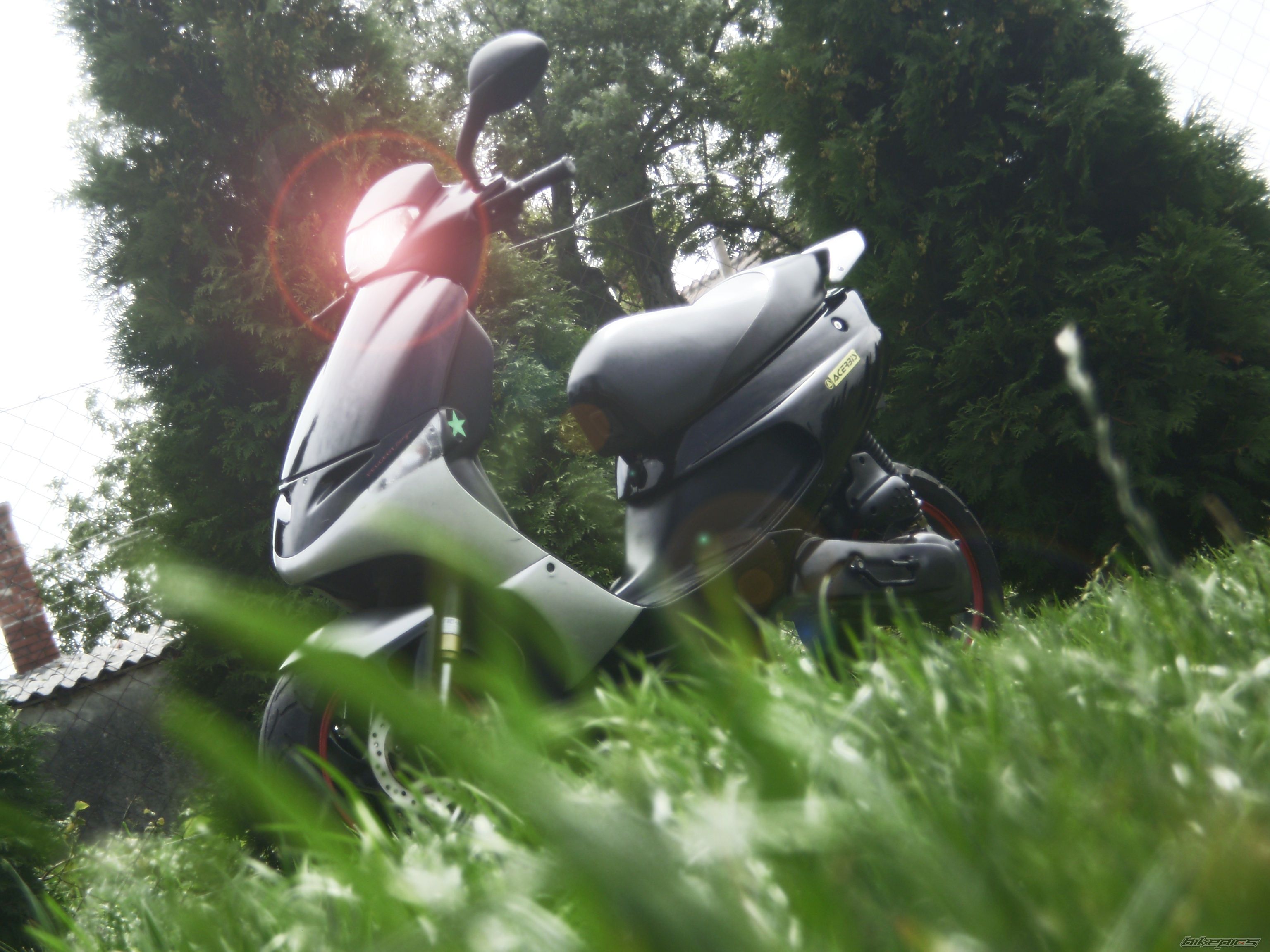 1994 PEUGEOT SPEEDAKE 50 | Picture 2286215 motorcycle photo