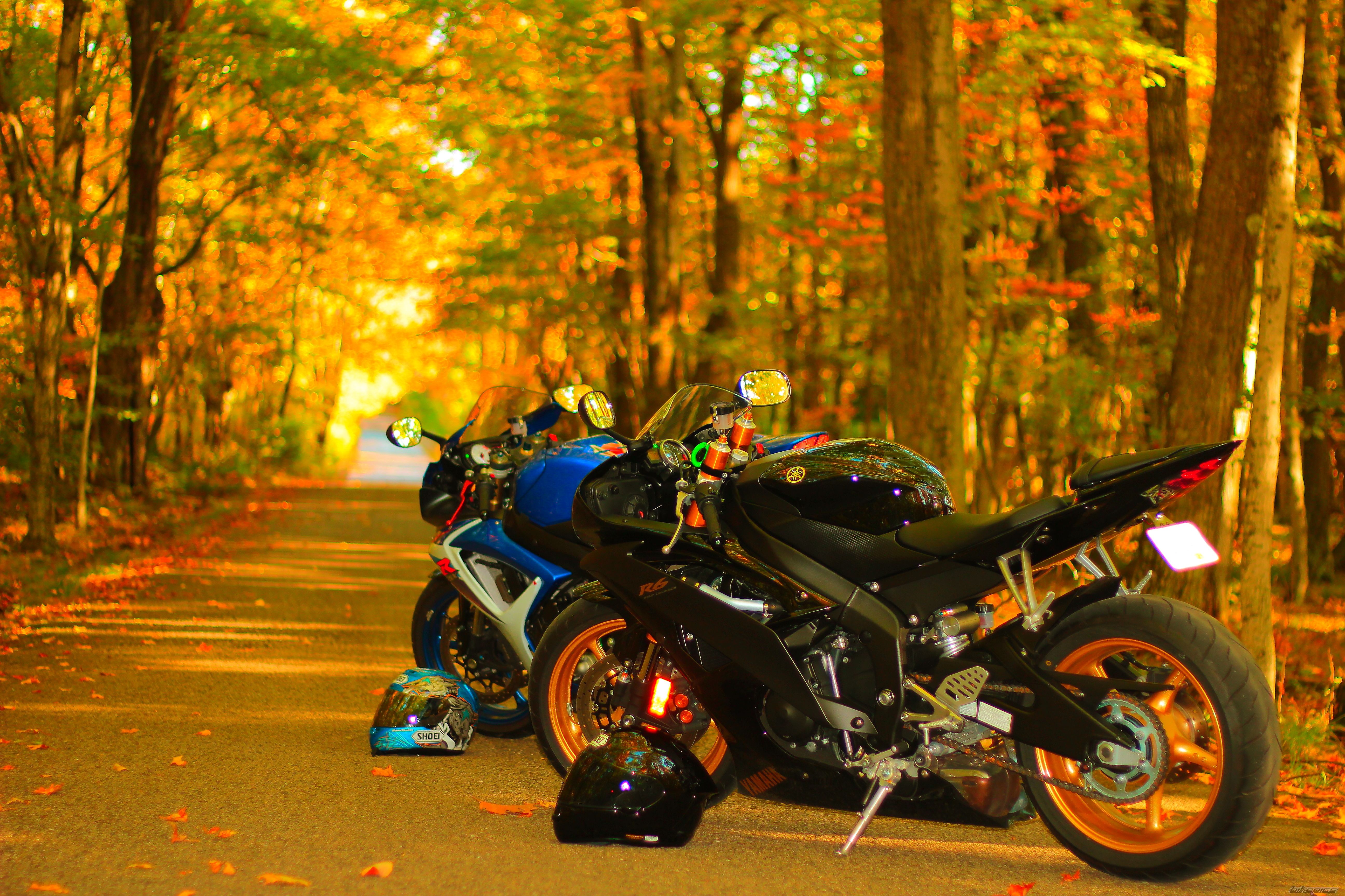 2007 SUZUKI GSX R 600 | Picture 2286247 motorcycle photo