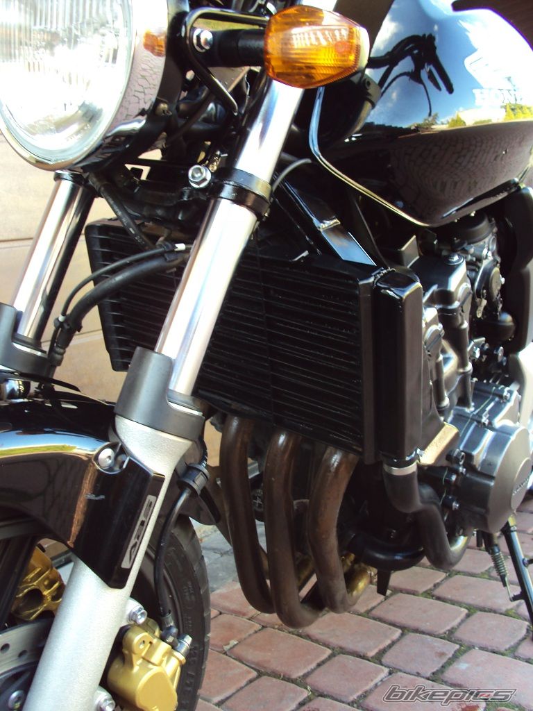 2005 HONDA CBF 600 | Picture 2286444 motorcycle photo
