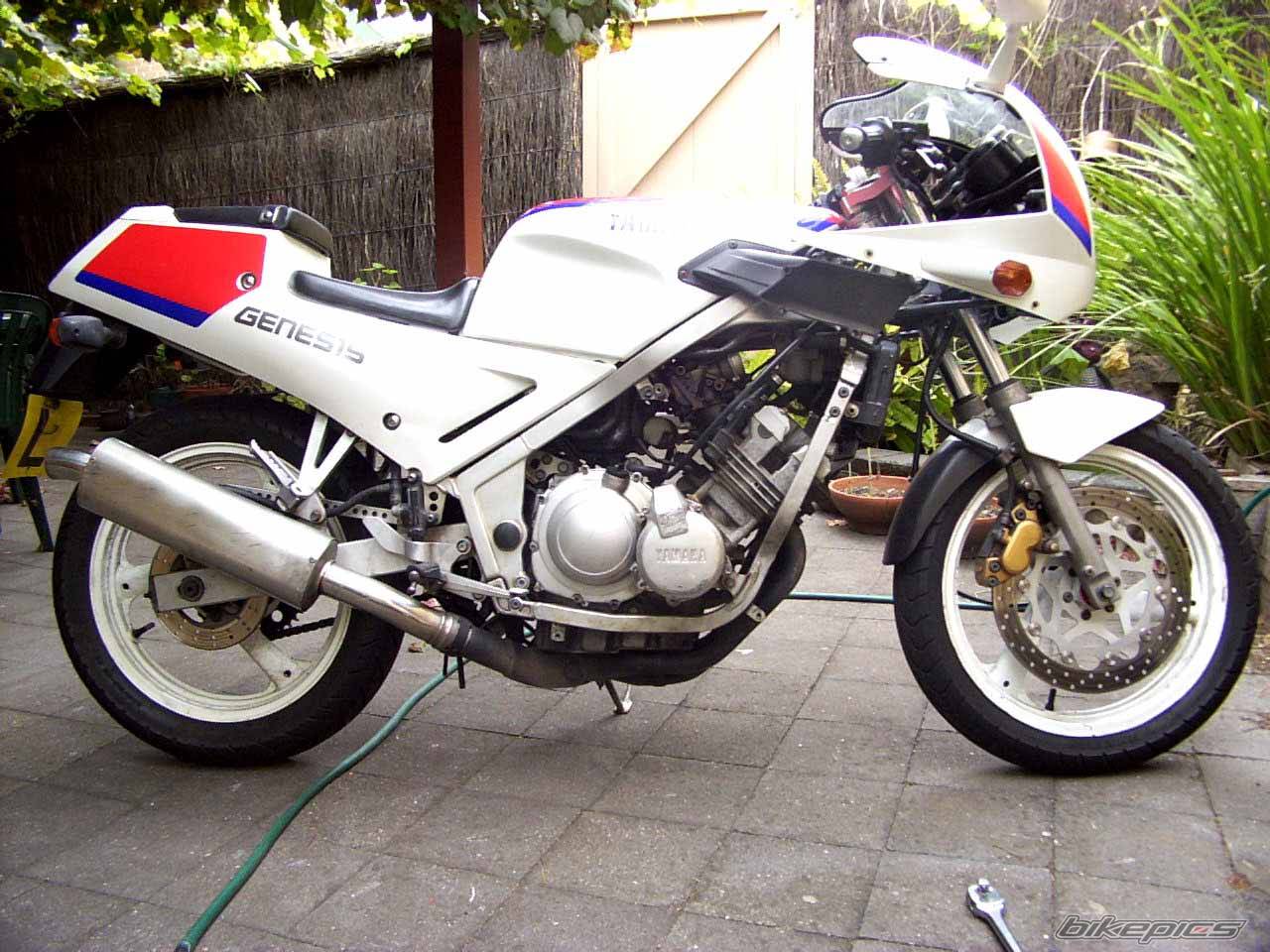 1989 YAMAHA FZR 250 | Picture 22867 motorcycle photo