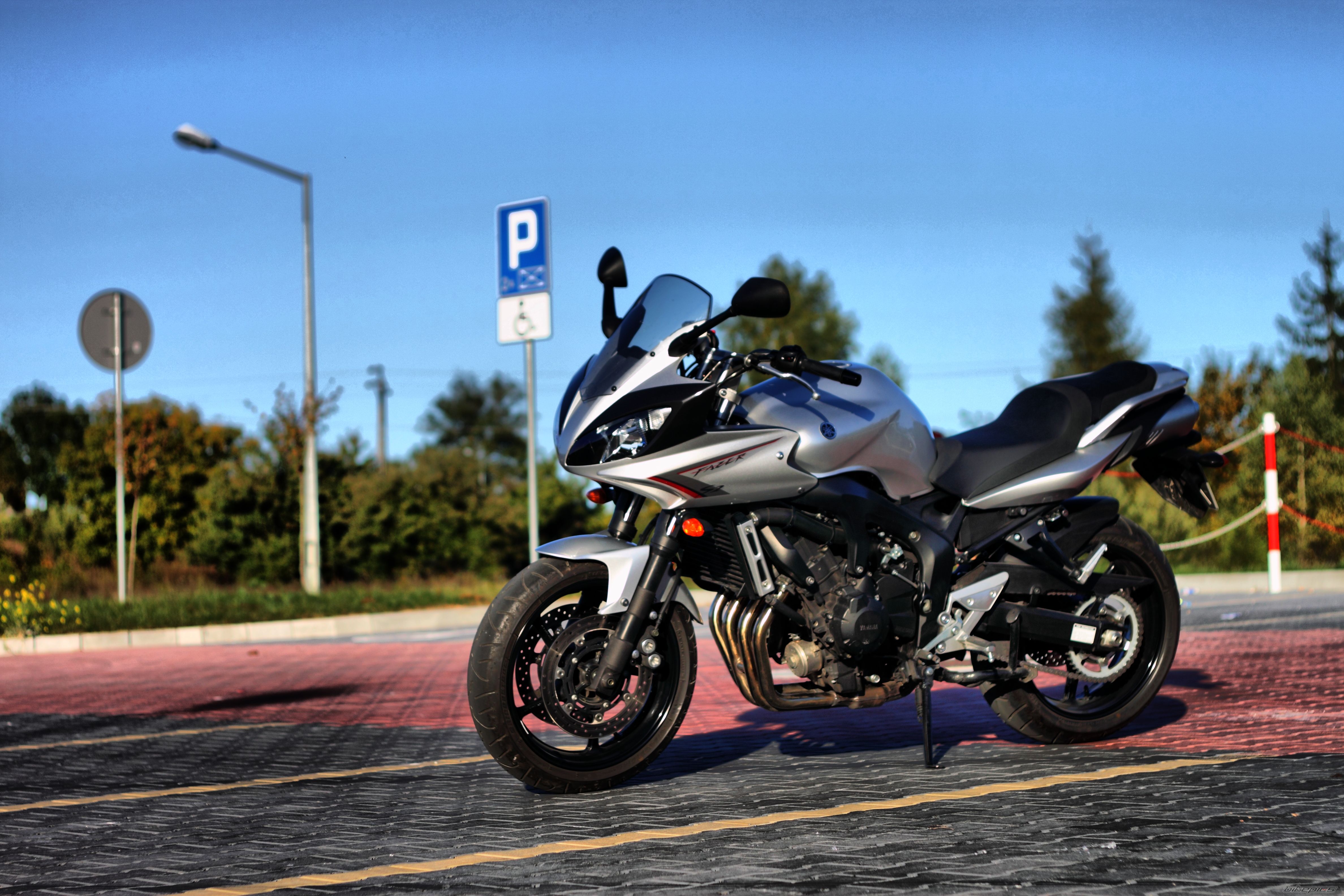 2009 YAMAHA FZ6 FAZER | Picture 2287307 motorcycle photo