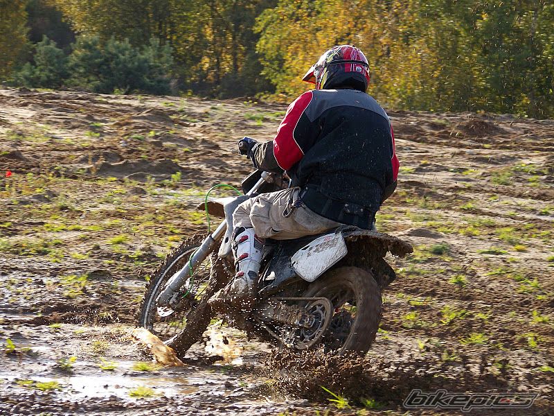 2001 KTM 85 SX | Picture 2287364 motorcycle photo