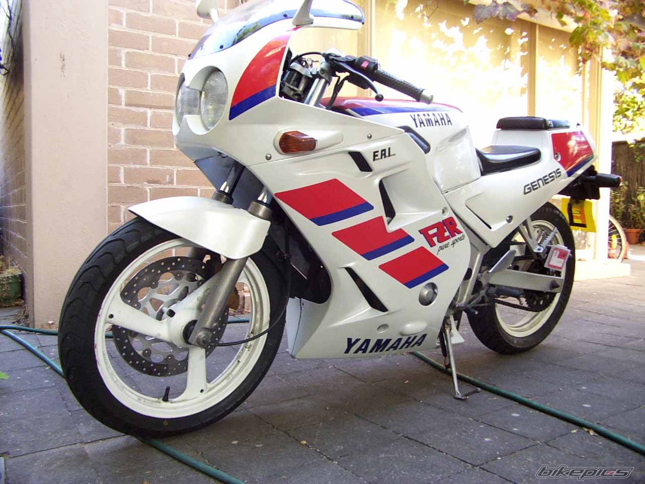 1989 YAMAHA FZR 250 | Picture 22874 motorcycle photo