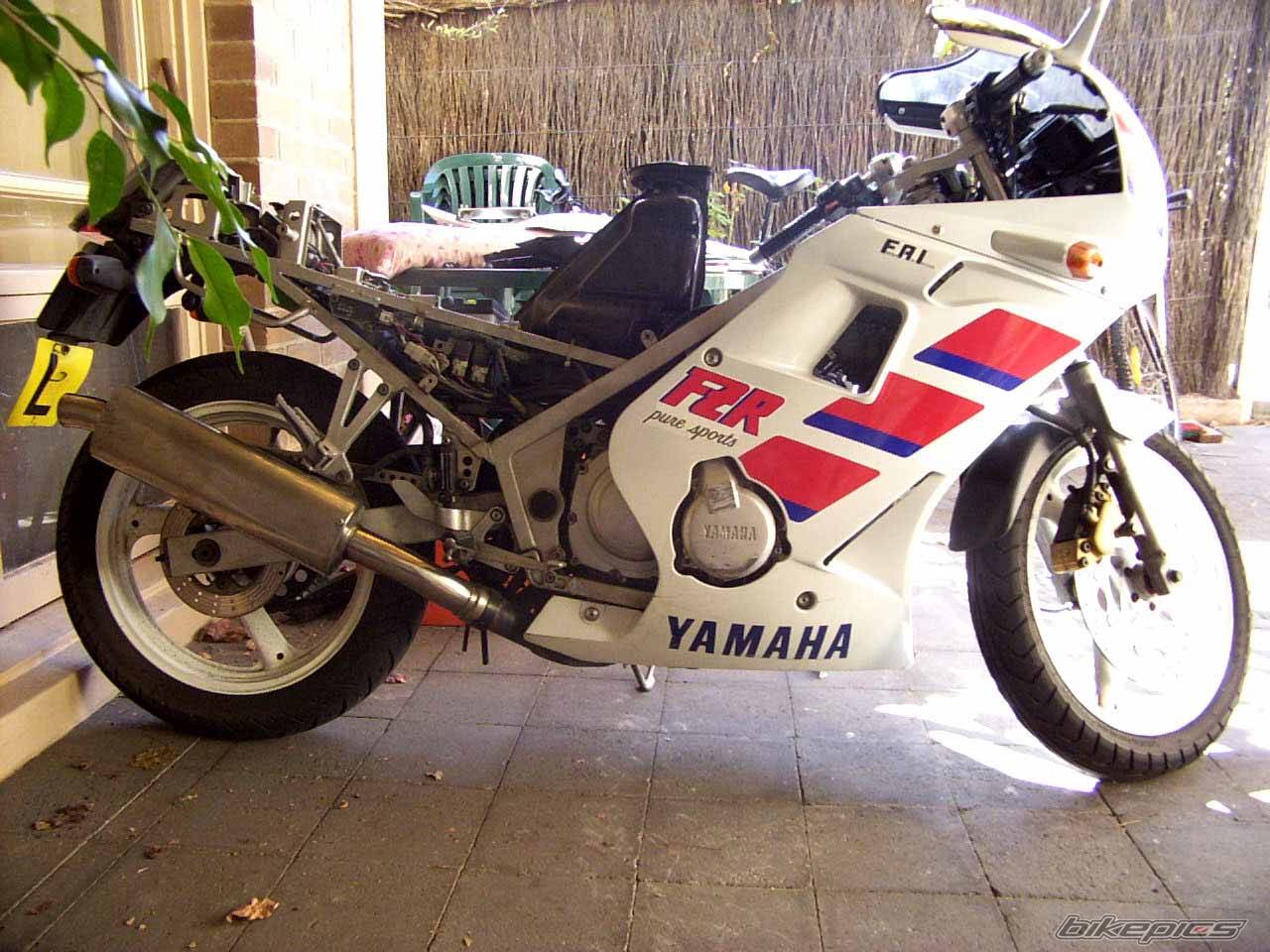 1989 YAMAHA FZR 250 | Picture 22876 motorcycle photo
