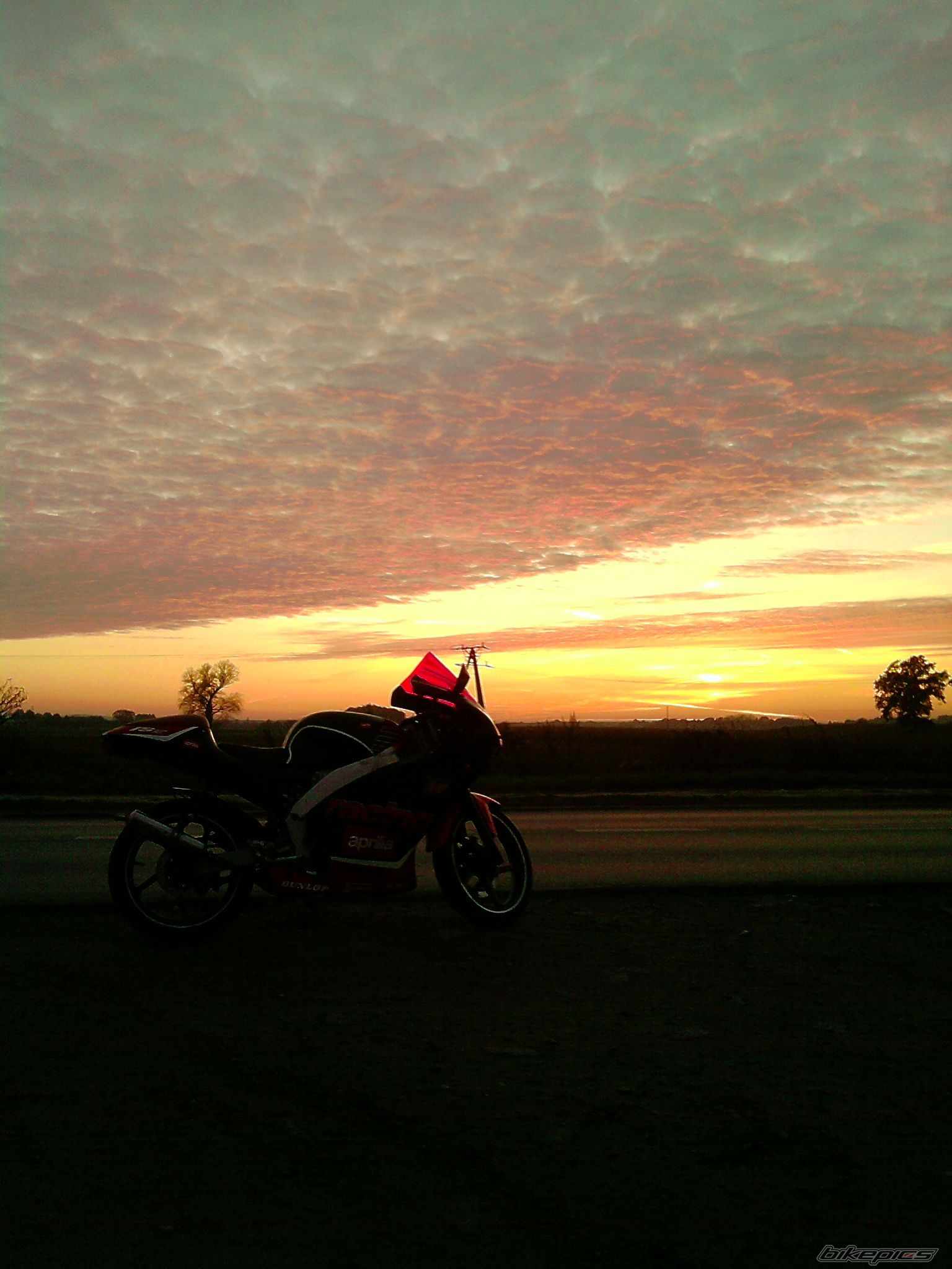2003 APRILIA RS 50 | Picture 2287694 motorcycle photo