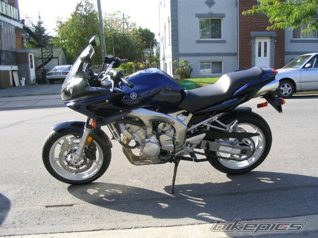 2005 YAMAHA FZ6 FAZER | Picture 228780 motorcycle photo