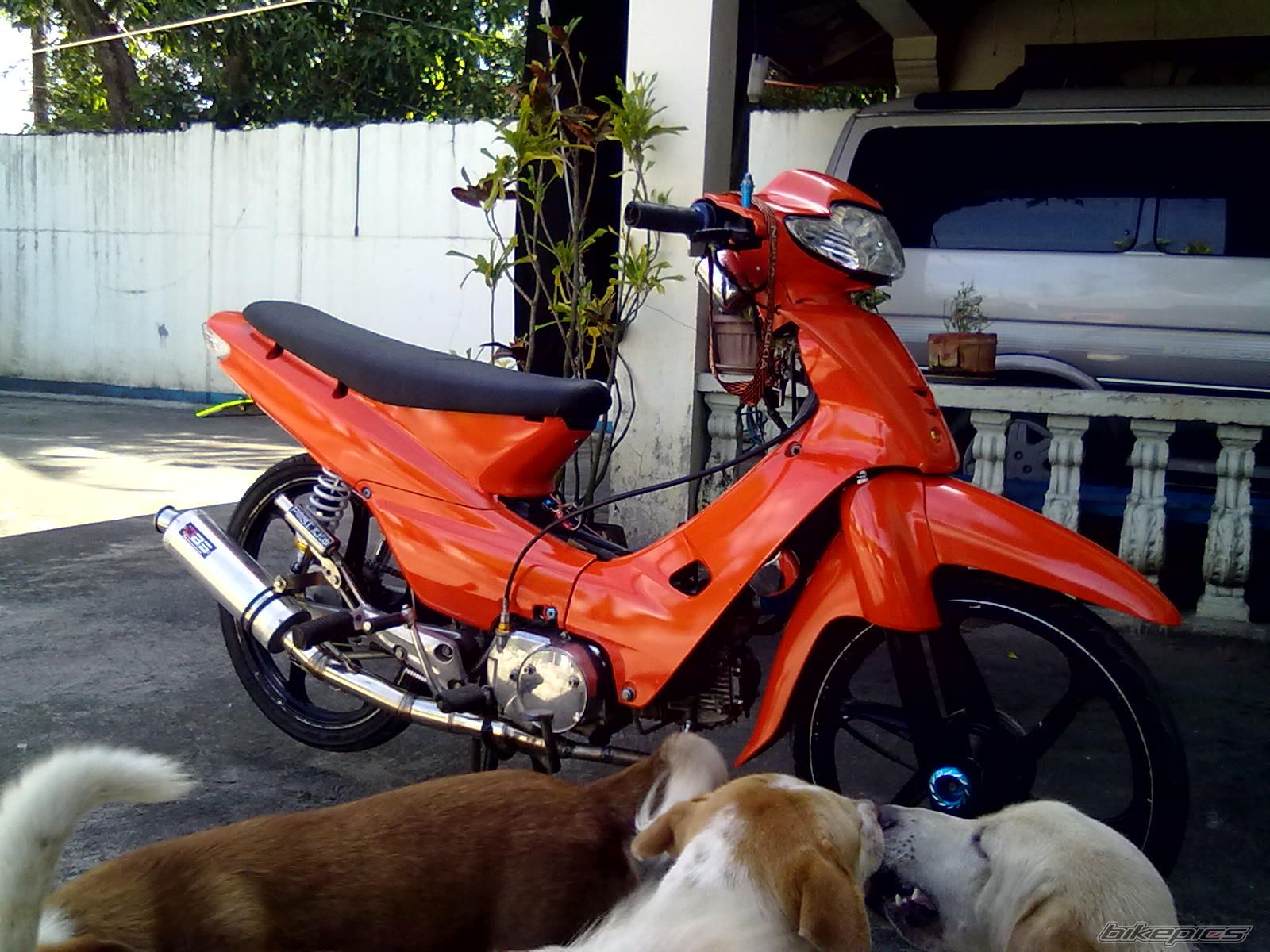 2010 HONDA WAVE 110CC | Picture 2288407 motorcycle photo