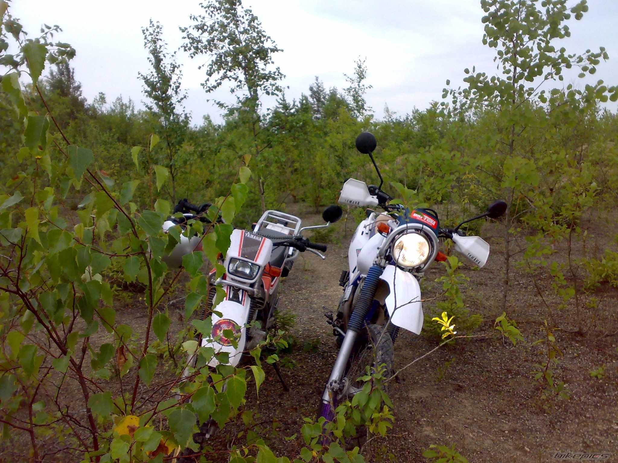 2000 YAMAHA XT 225 | Picture 2288518 motorcycle photo
