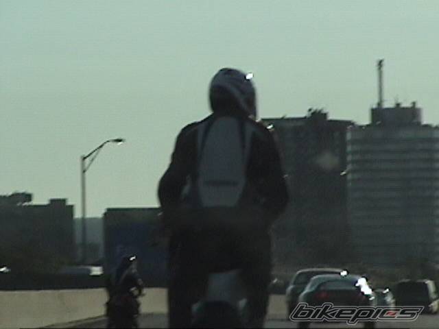 2002 HONDA CBR 600 | Picture 228867 motorcycle photo