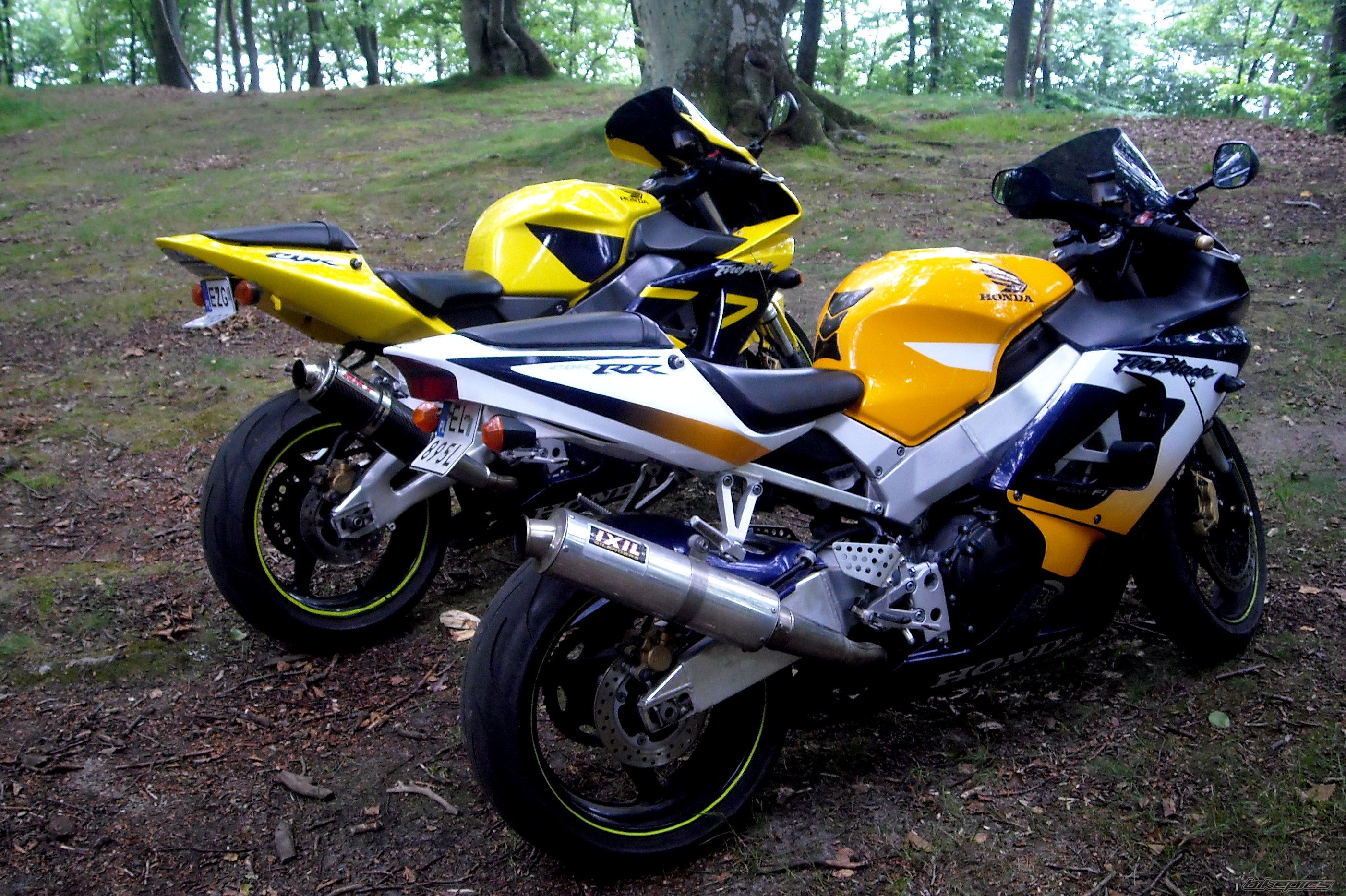 2002 HONDA CBR 954RR FIREBLADE | Picture 2289461 motorcycle photo