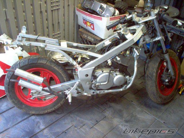 1987 YAMAHA YSR 50 | Picture 228961 motorcycle photo