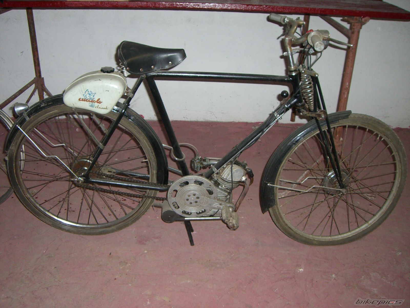 1959 DUCATI CUCCIOLO 48CC | Picture 2289755 motorcycle photo