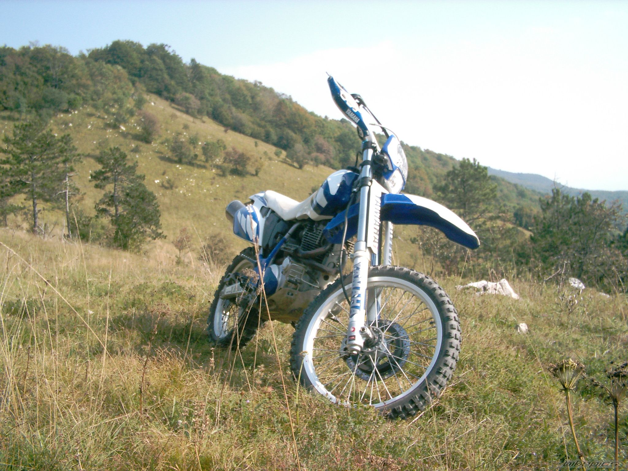 2004 YAMAHA TTR 600 | Picture 2290595 motorcycle photo