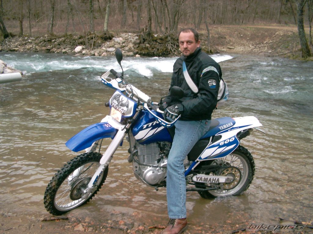 2004 YAMAHA TTR 600 | Picture 2290607 motorcycle photo