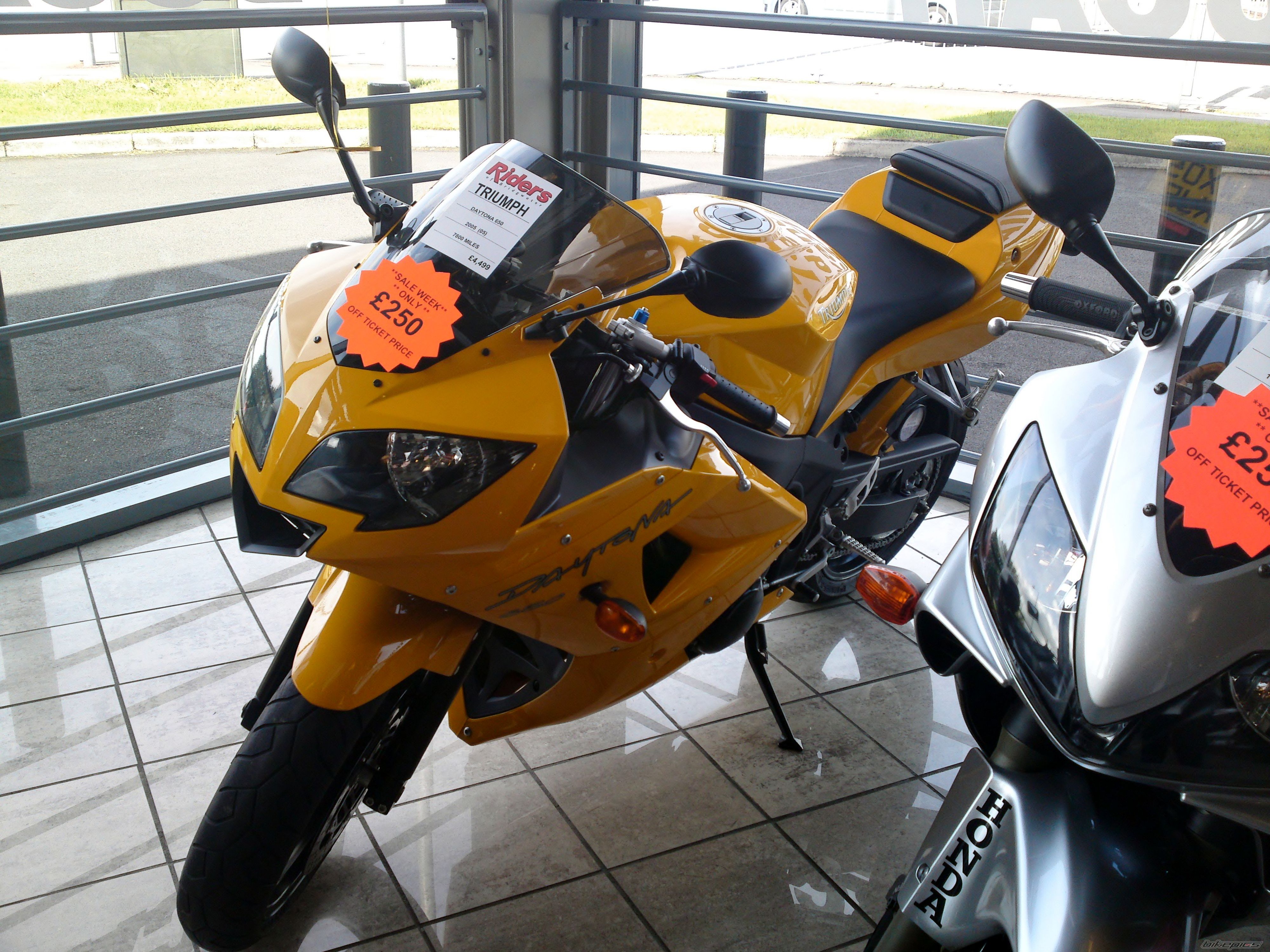    | Picture 2291655 motorcycle photo