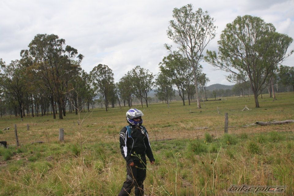    | Picture 2291765 motorcycle photo