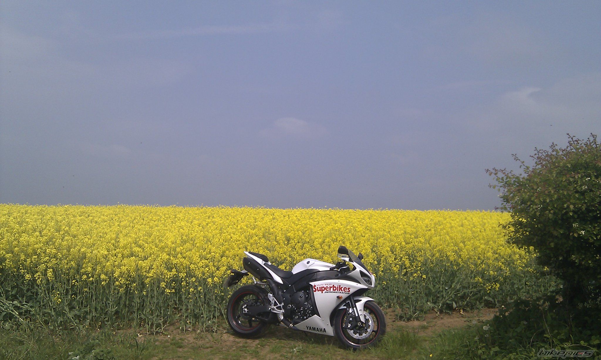 2011 YAMAHA YZF R1 | Picture 2292224 motorcycle photo