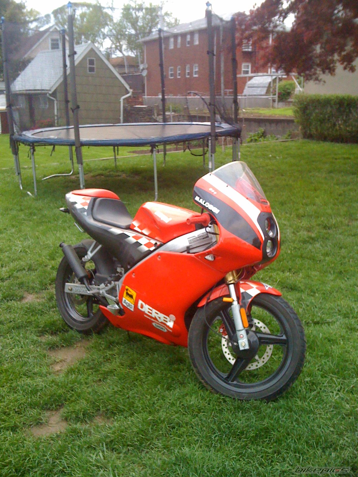 2002 DERBI GPR 50 REPLICA | Picture 2292278 motorcycle photo
