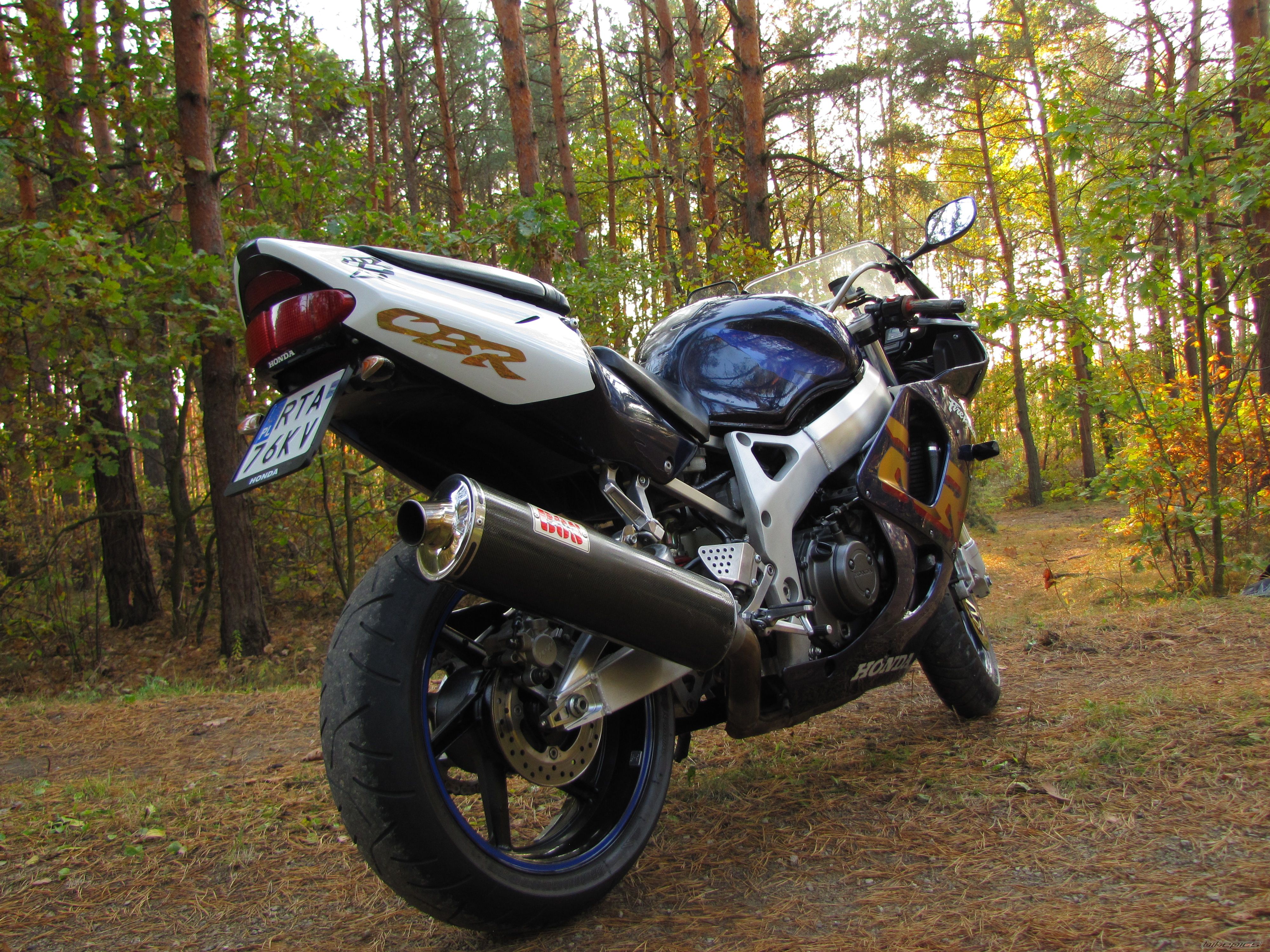 1999 HONDA CBR 900 | Picture 2292524 motorcycle photo