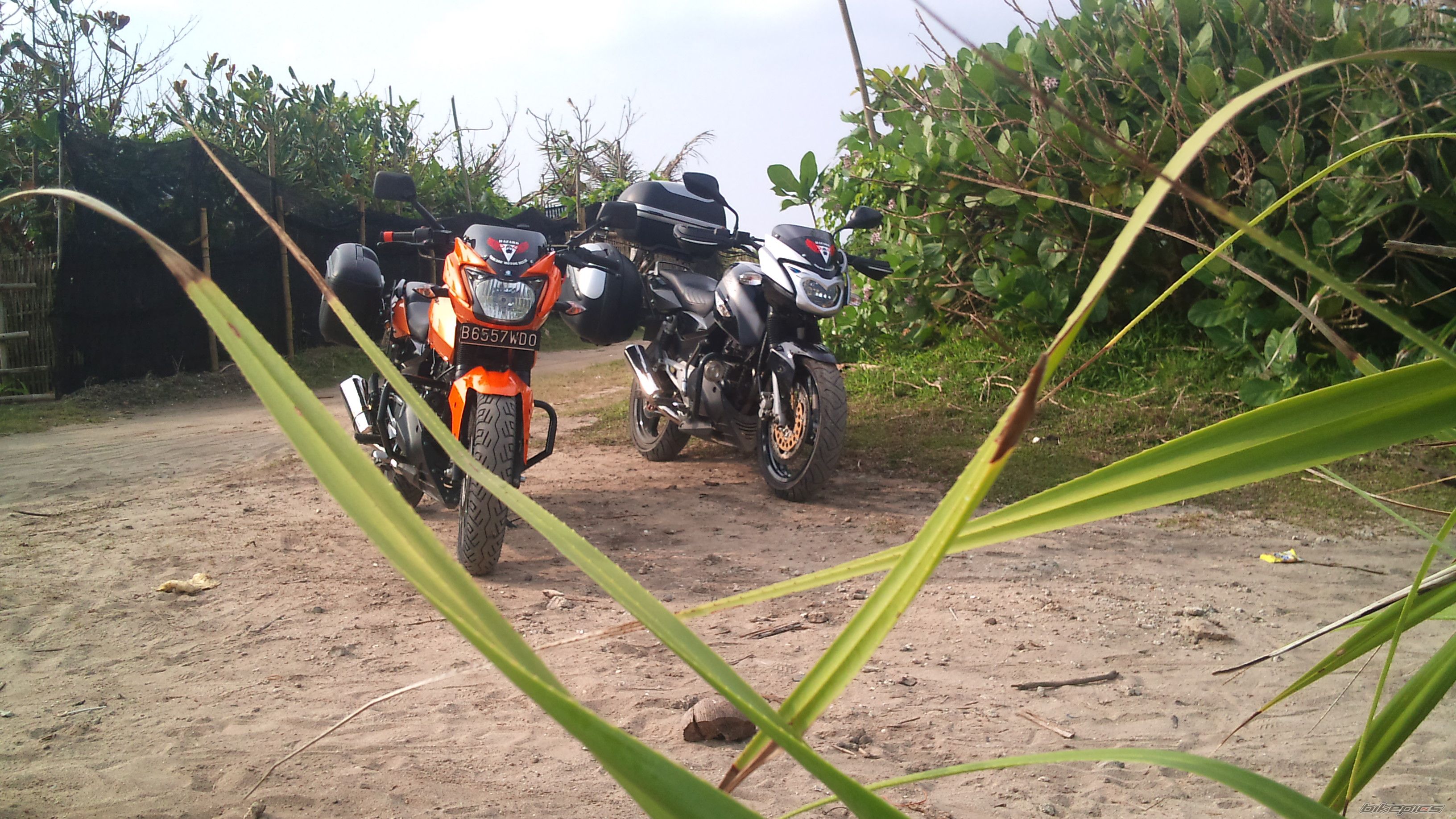 2008 BAJAJ PULSAR 180 | Picture 2293791 motorcycle photo