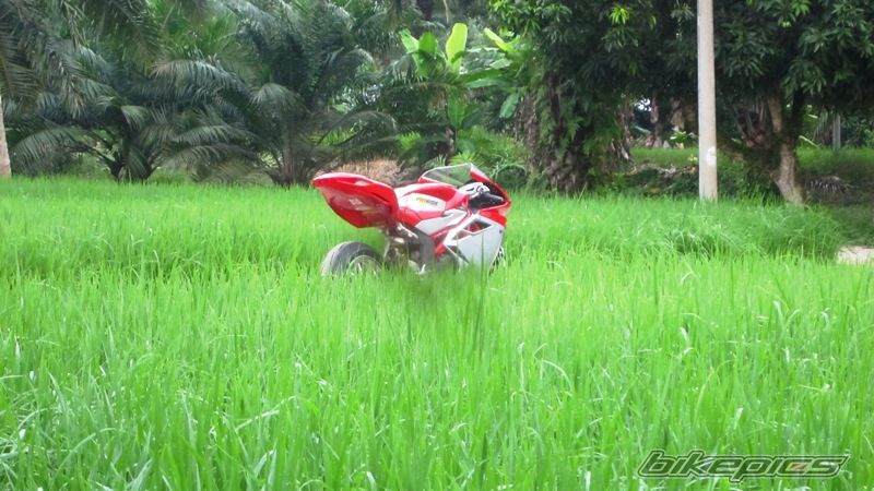 2010 MV AGUSTA F4 1000 | Picture 2293933 motorcycle photo