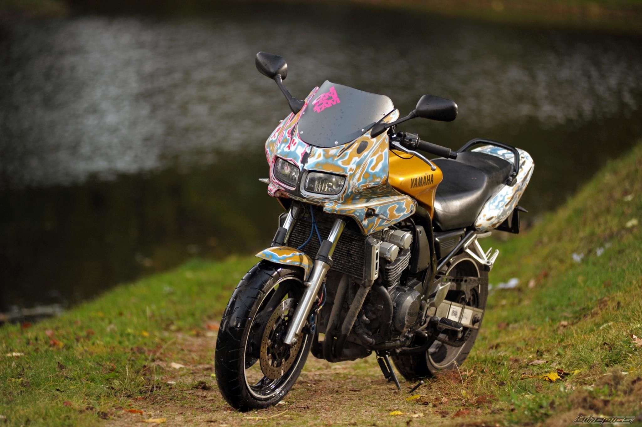 1999 YAMAHA FZS 600 FAZER | Picture 2293937 motorcycle photo