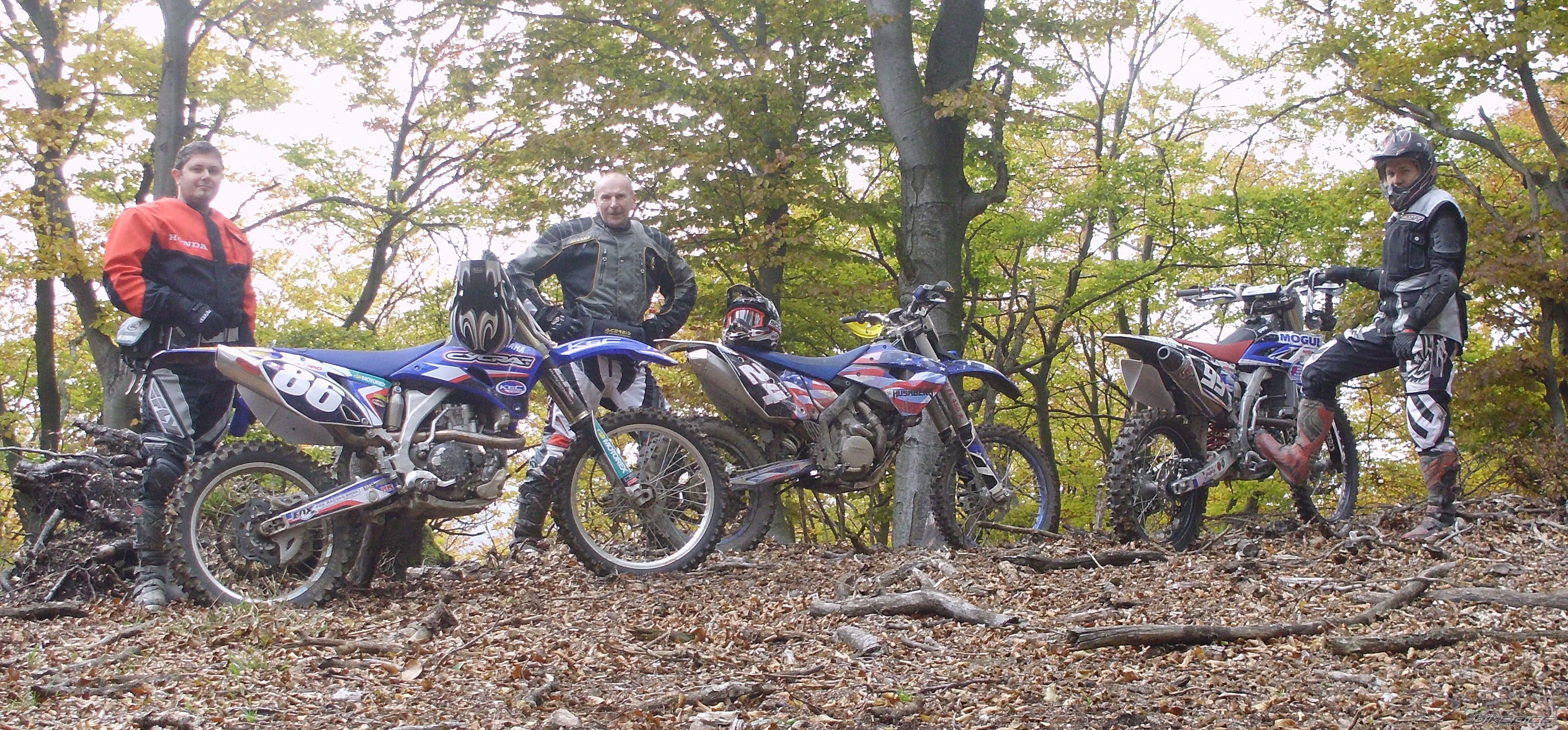 2009 HUSABERG FE 450 E | Picture 2294195 motorcycle photo