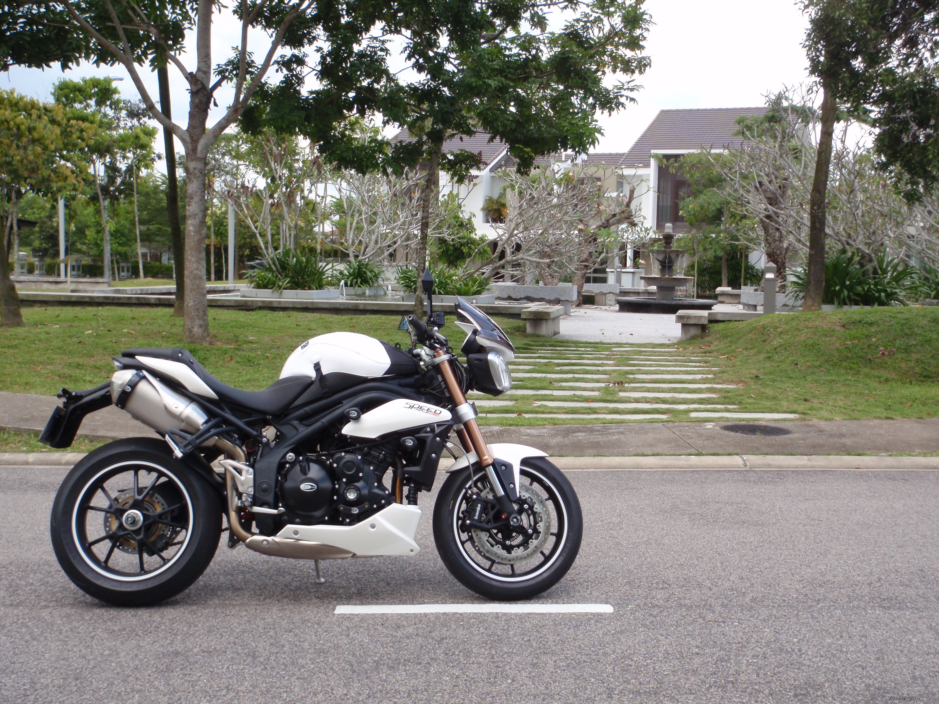 2011 TRIUMPH SPEED TRIPLE | Picture 2294492 motorcycle photo