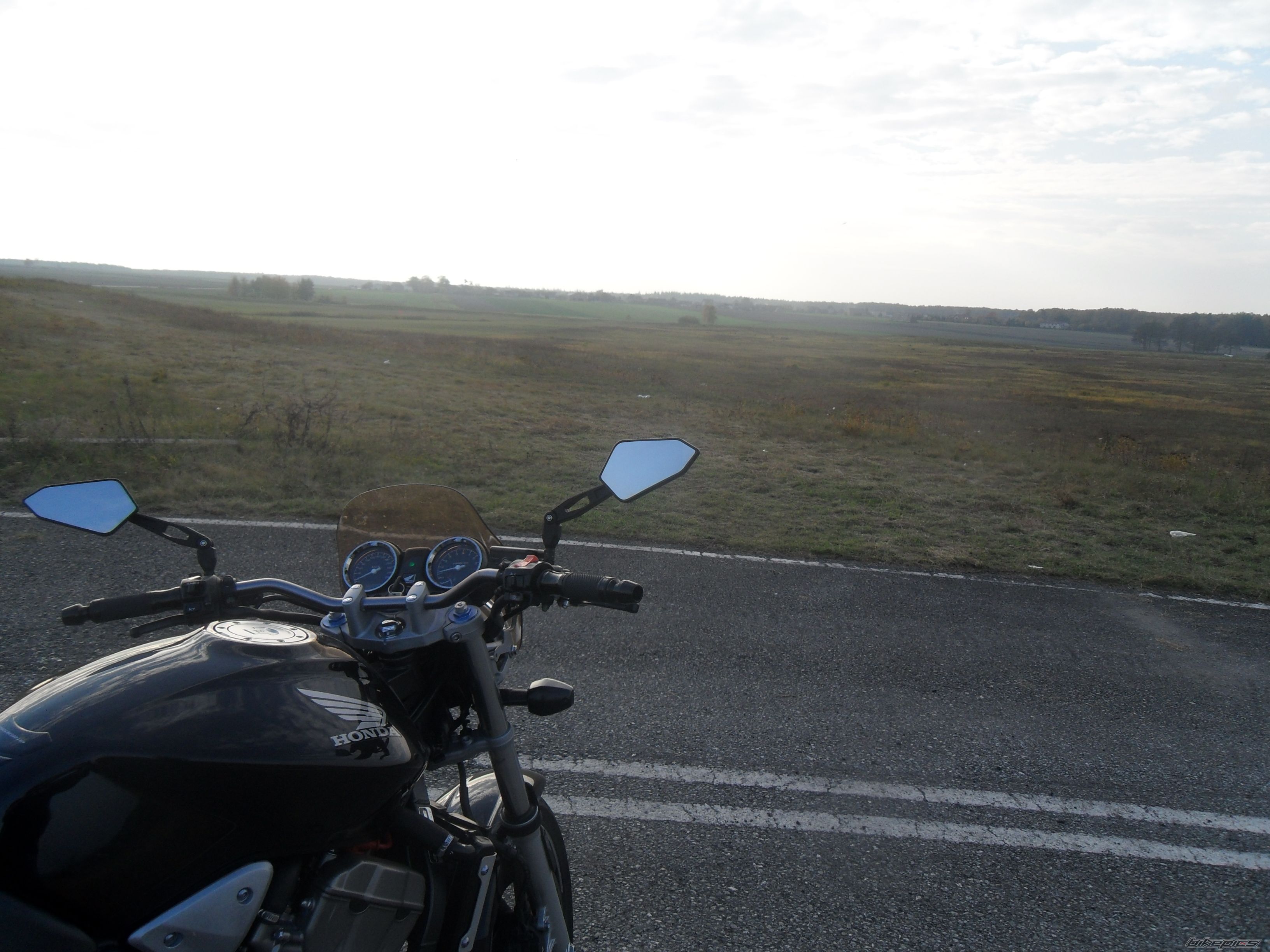 2004 HONDA CB 900 | Picture 2294810 motorcycle photo
