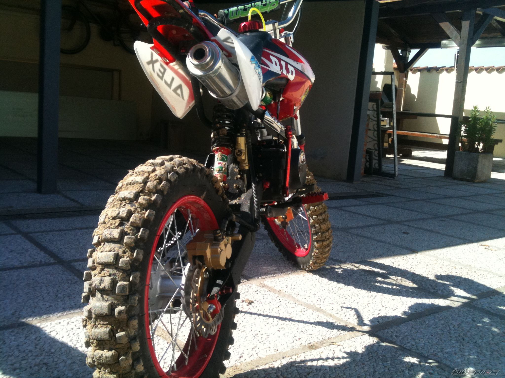 1995 HONDA CR 80 | Picture 2294937 motorcycle photo
