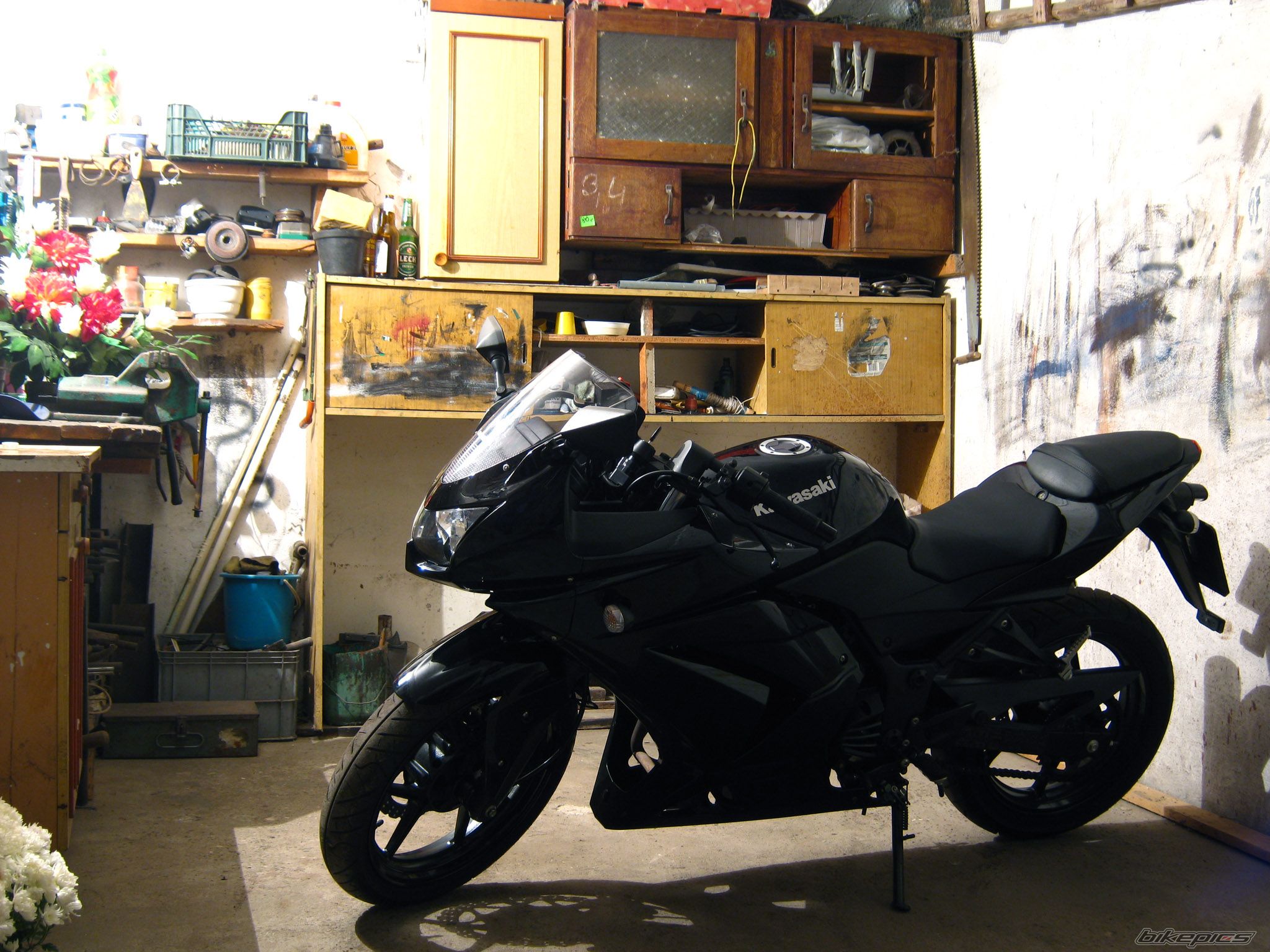 2008 KAWASAKI NINJA 250R | Picture 2295566 motorcycle photo