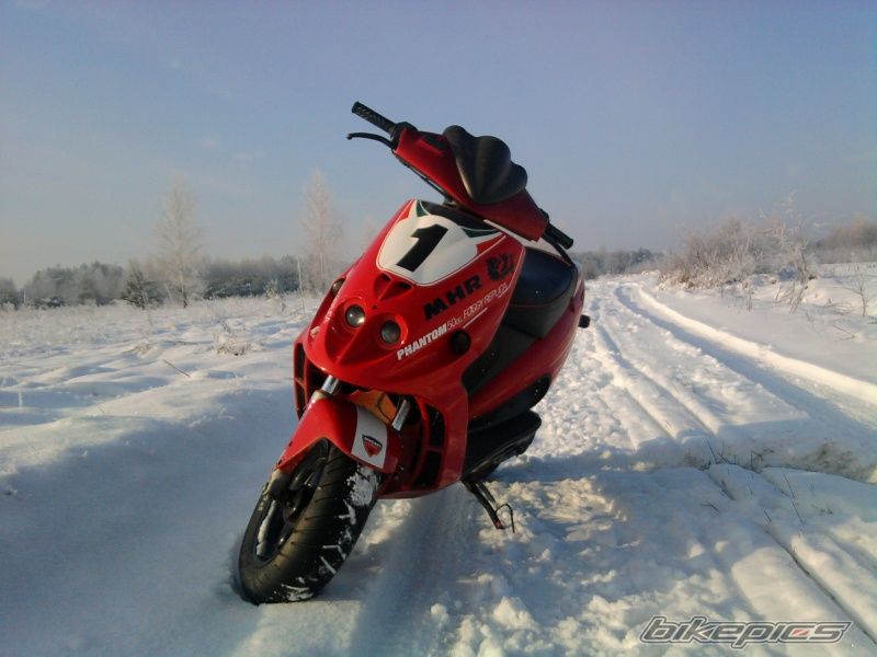 1997 MALAGUTI F 12 50 | Picture 2295680 motorcycle photo