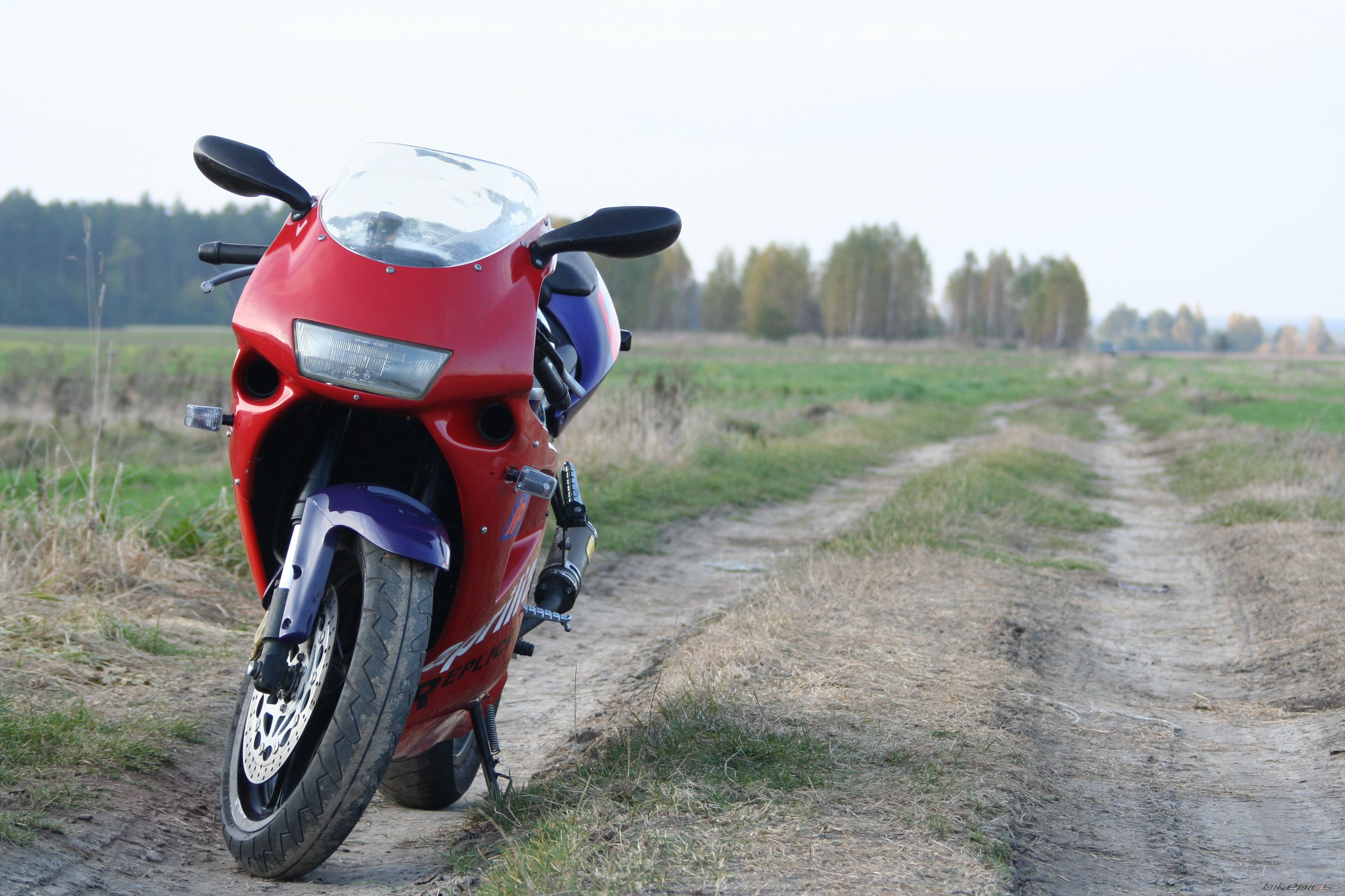 1995 APRILIA RS 125 | Picture 2295697 motorcycle photo