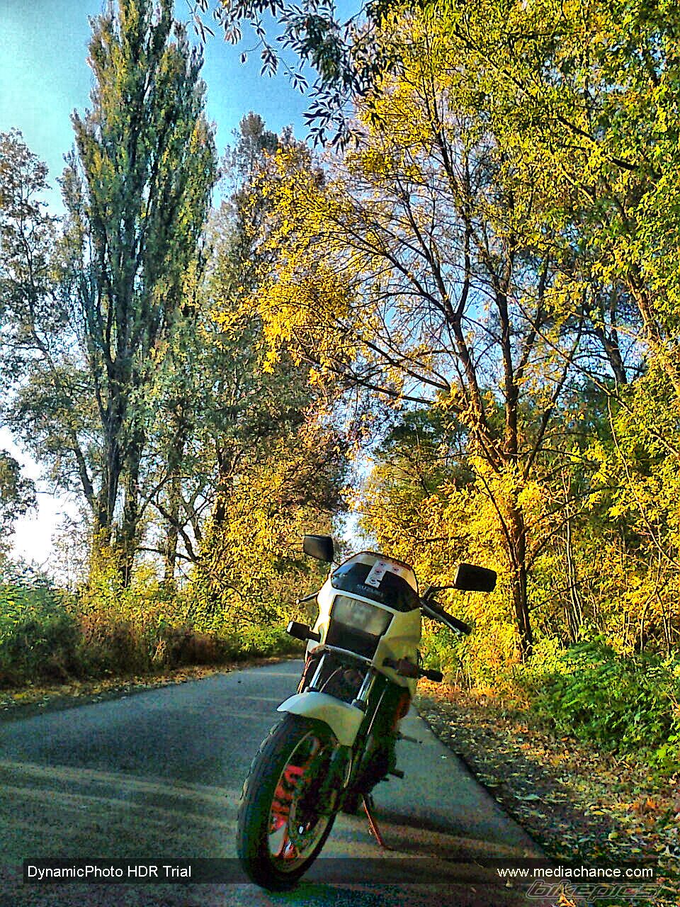 1986 SUZUKI GSX 400 X | Picture 2295907 motorcycle photo