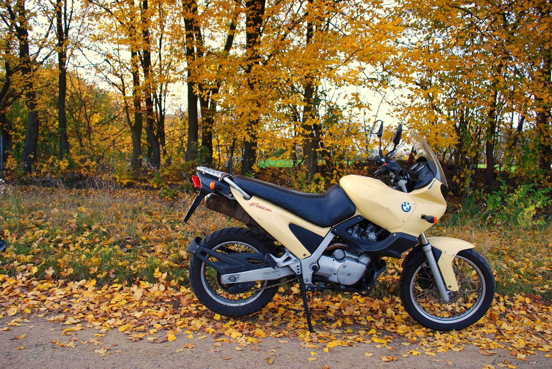 1995 BMW F 650 GS | Picture 2296553 motorcycle photo